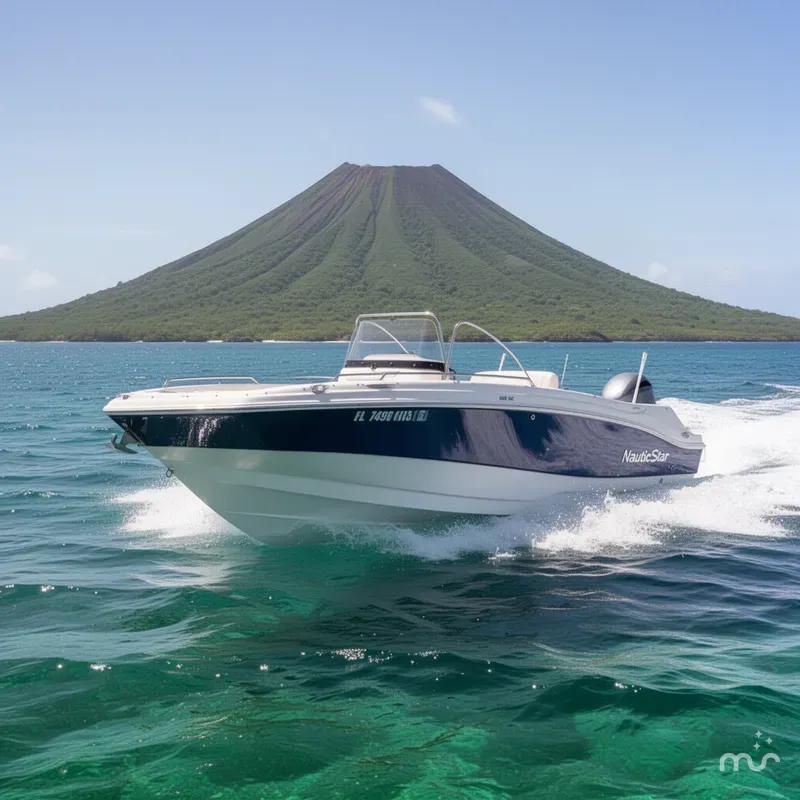 The Image of NauticStar 203 SC 2018 - 0