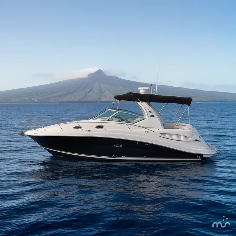 Slide: The Image of Sea Ray 340 Sundancer 2006 - 2