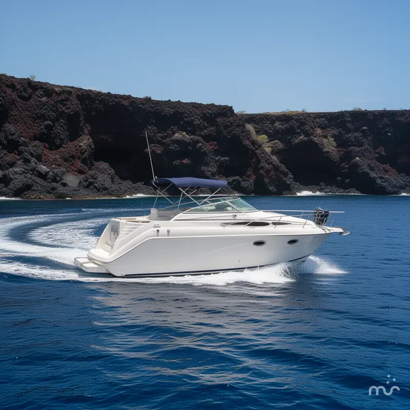 Slide: The Image of Rinker 270 Fiesta Vee 2001 - 1