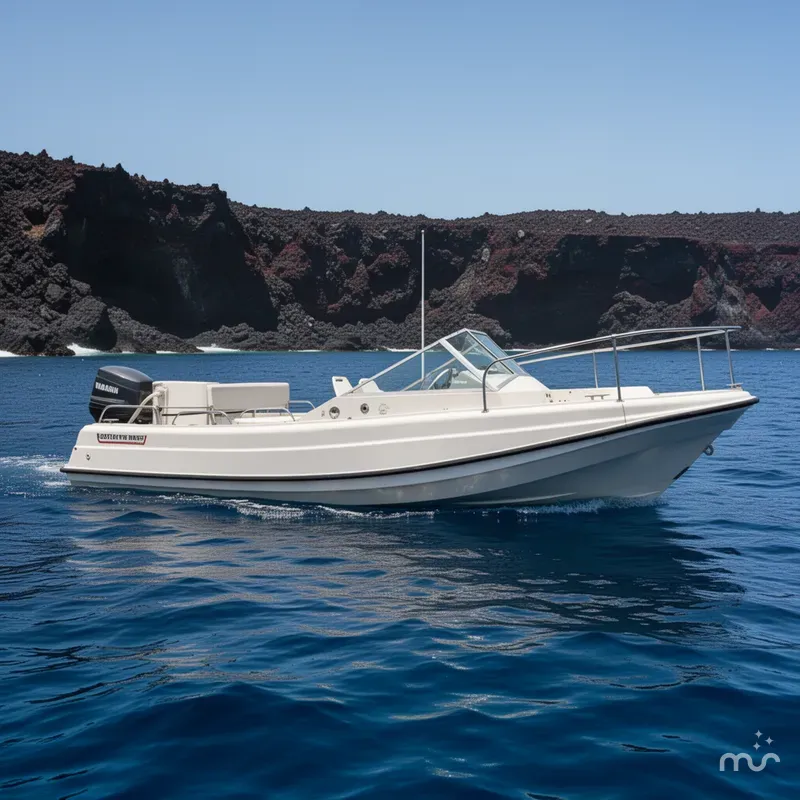 The Image of Boston Whaler 21 REVENGE 1977 - 0