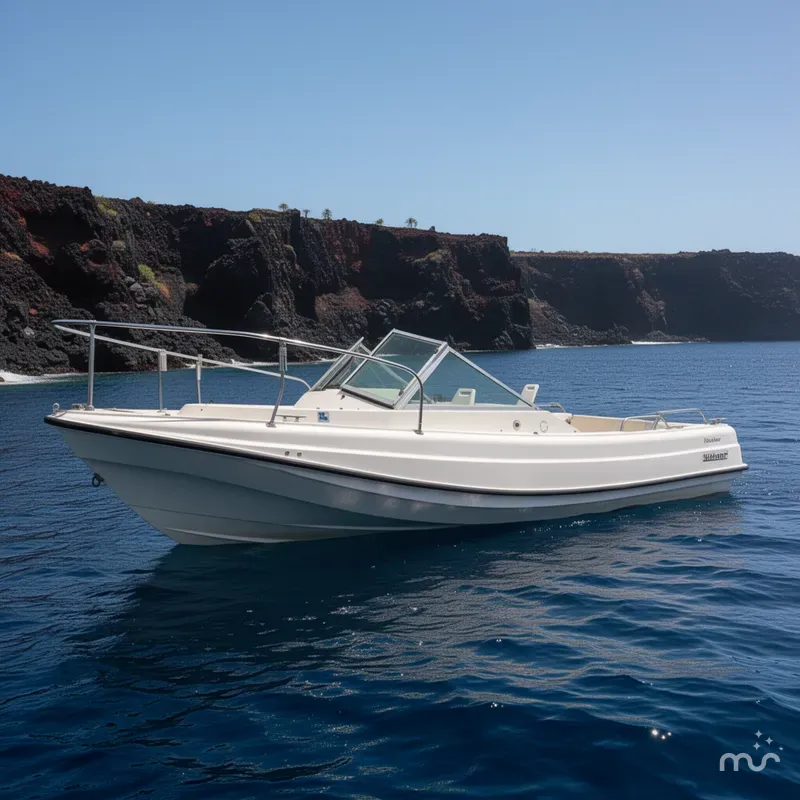 Slide: The Image of Boston Whaler 21 REVENGE 1977 - 2