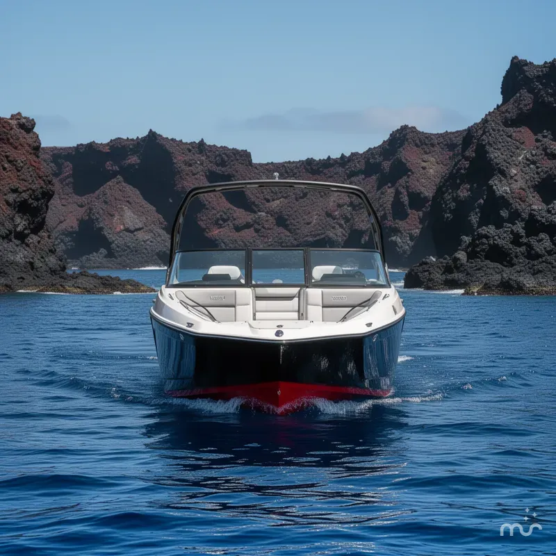 Slide: The Image of Yamaha 222SD 2025 - 3