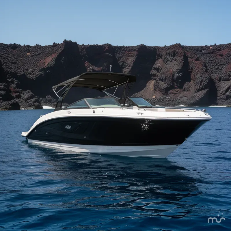 The Image of Sea Ray SDX 270 2017 - 0