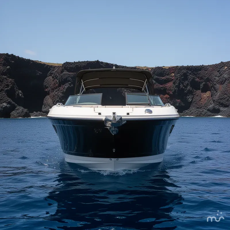 Slide: The Image of Sea Ray SDX 270 2017 - 1