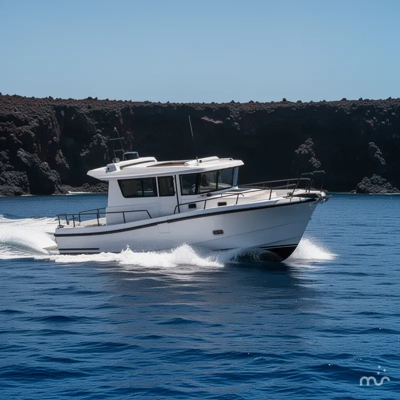 Slide: The Image of Sargo 31OB 2025 - 4