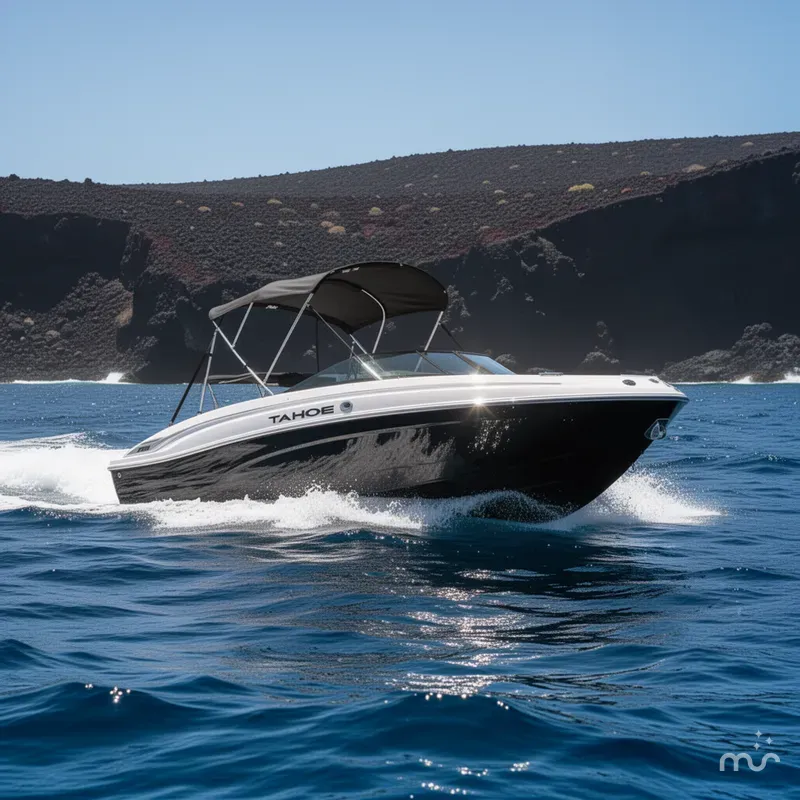 Slide: The Image of Tahoe T21 2025 - 4