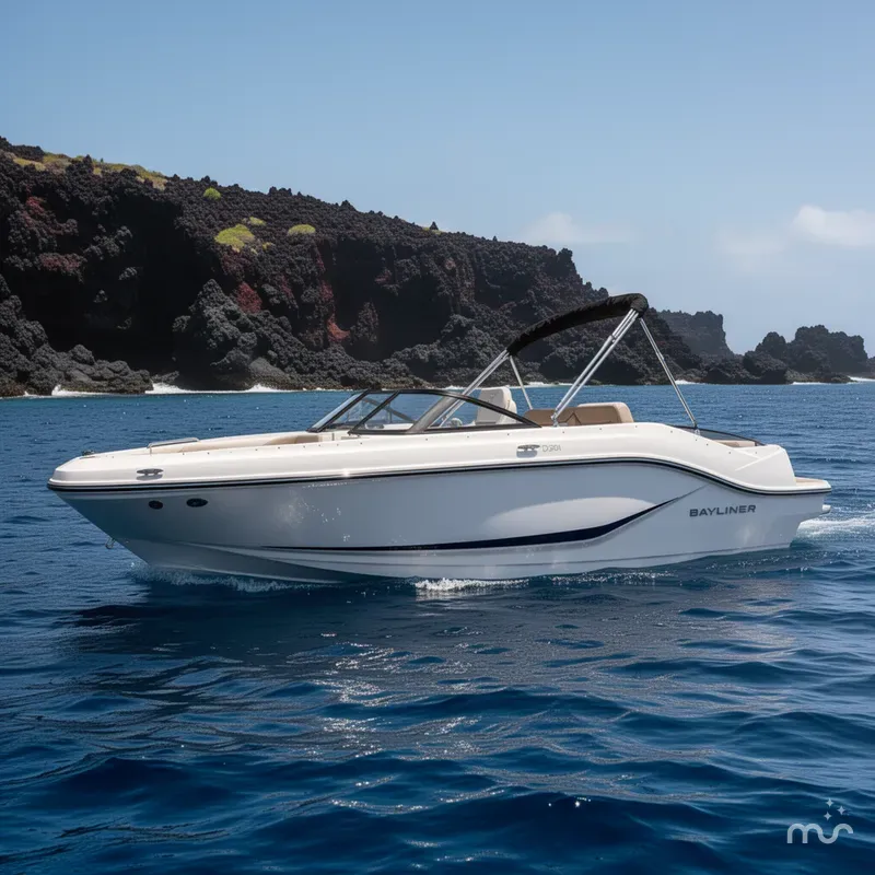 The Image of Bayliner D20I 2025 - 0