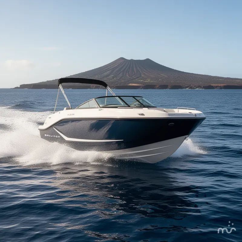 The Image of Bayliner D20I 2025 - 0