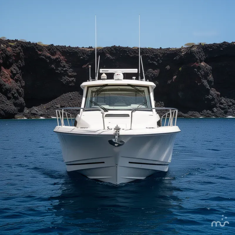 Slide: The Image of Boston Whaler 325 Conquest 2020 - 1