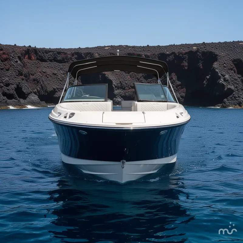 Slide: The Image of Sea Ray SDX 250 2025 - 1