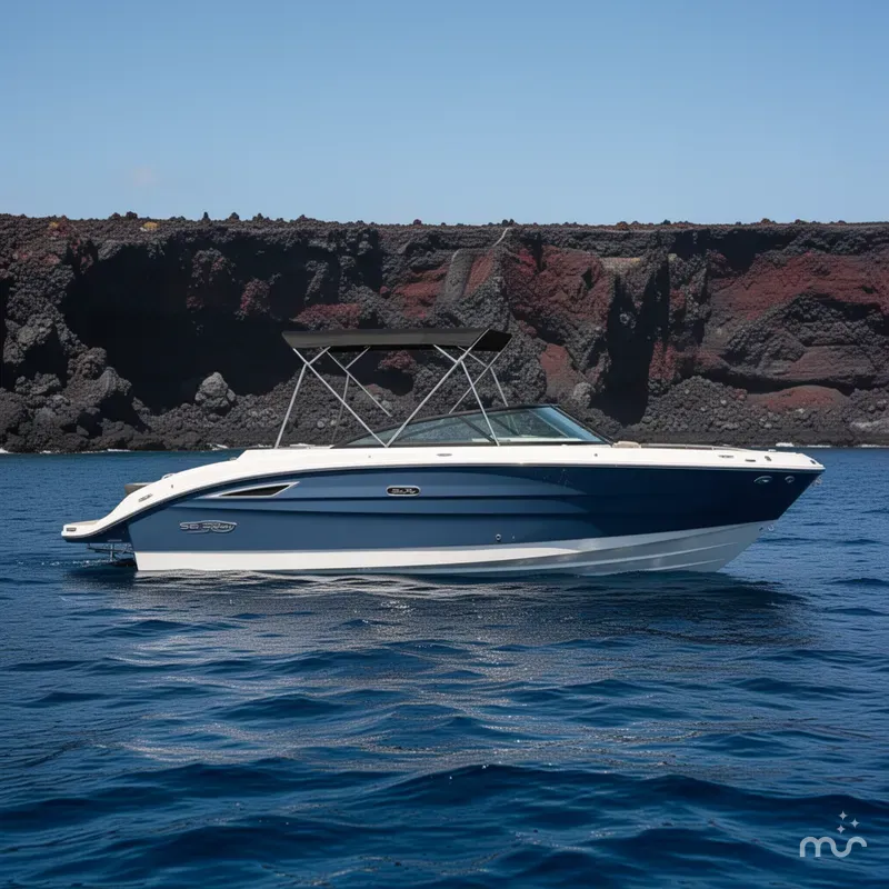 Slide: The Image of Sea Ray SDX 250 2025 - 2
