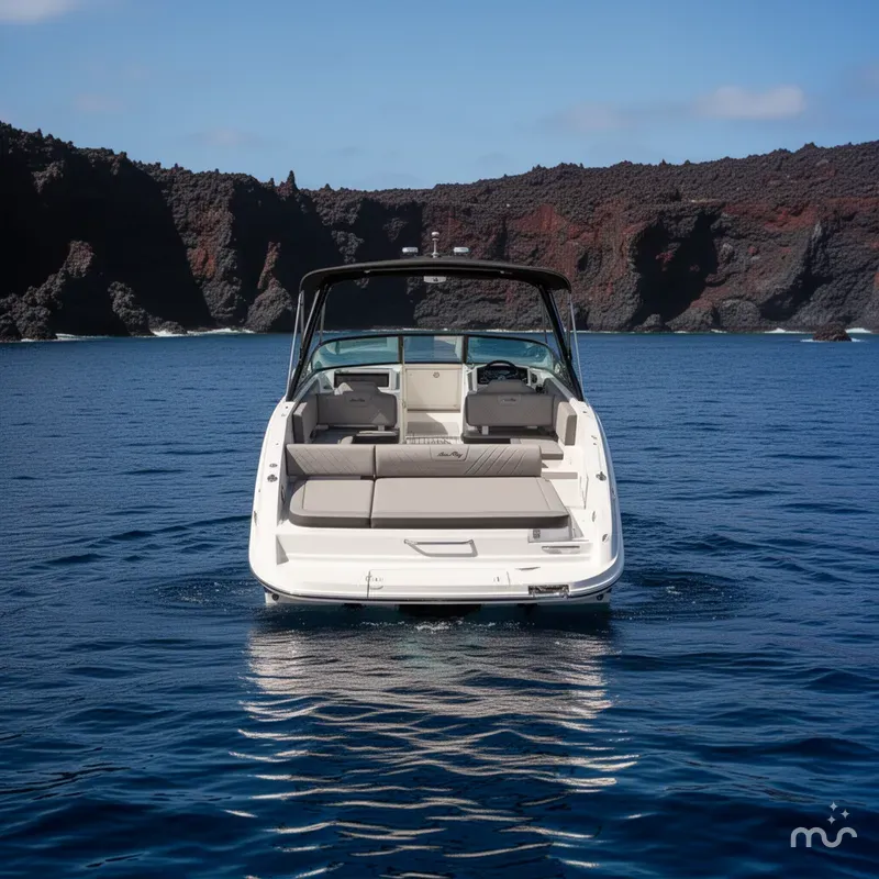 Slide: The Image of Sea Ray SDX 250 2025 - 3