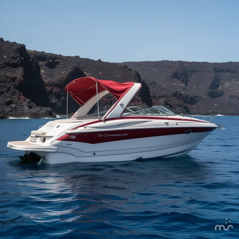 The Image of Crownline Boats 300 LS 2009 - 0