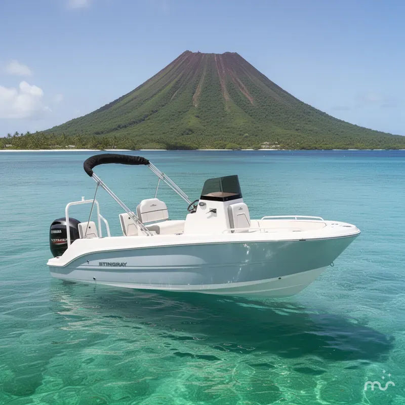 Slide: The Image of Stingray 173 CC 2027 - 2