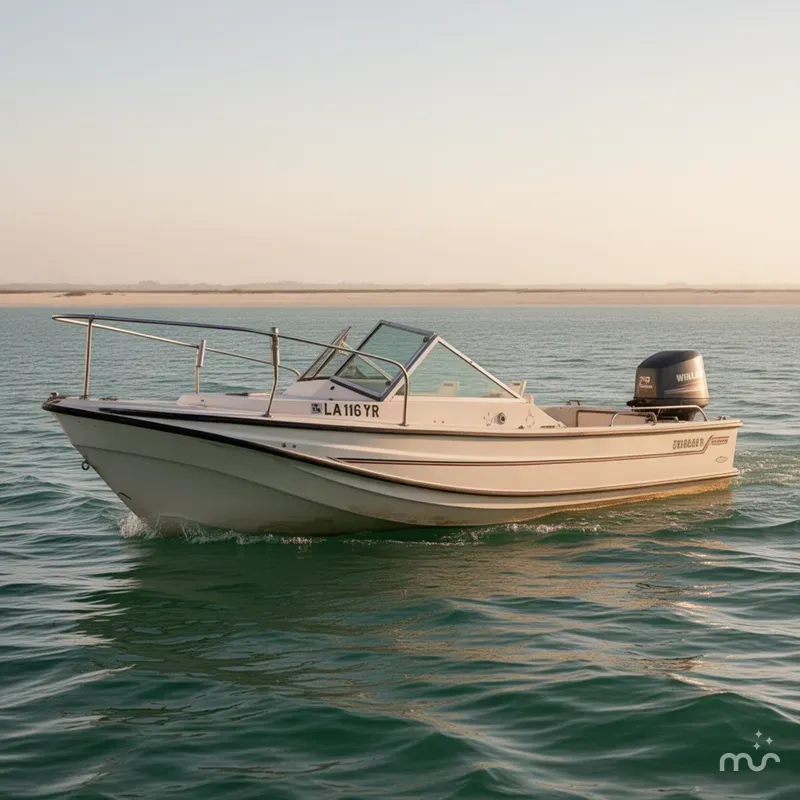 Slide: The Image of Boston Whaler 21 REVENGE 1977 - 2