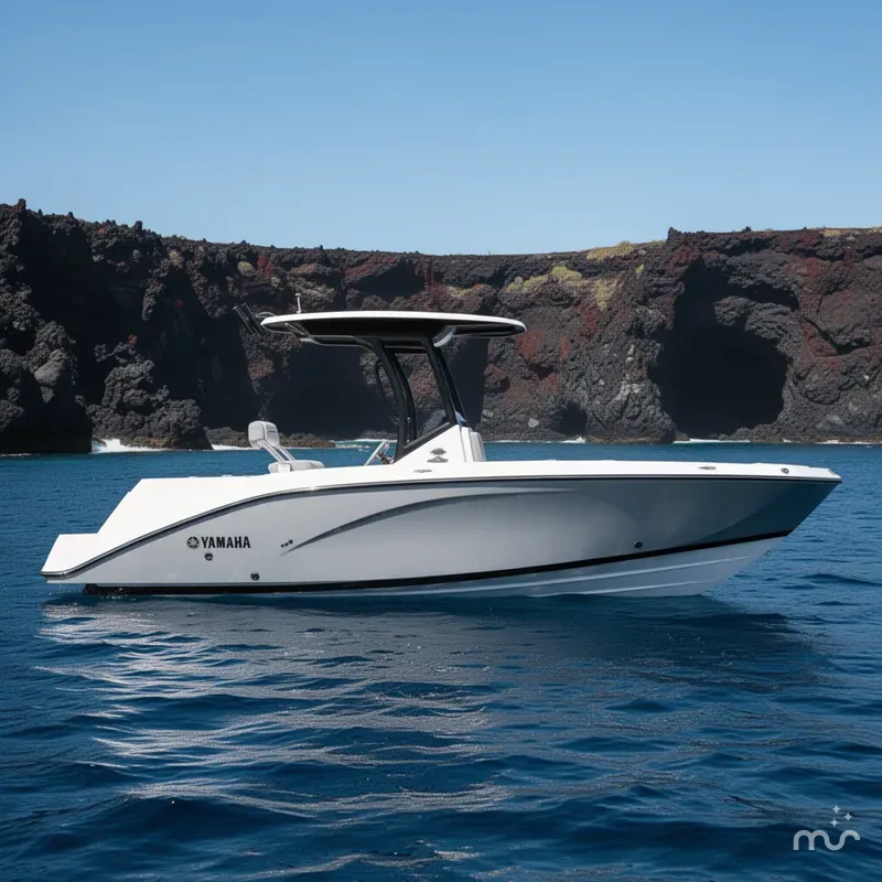 Slide: The Image of Yamaha FSH 222 Sport E 2025 - 2