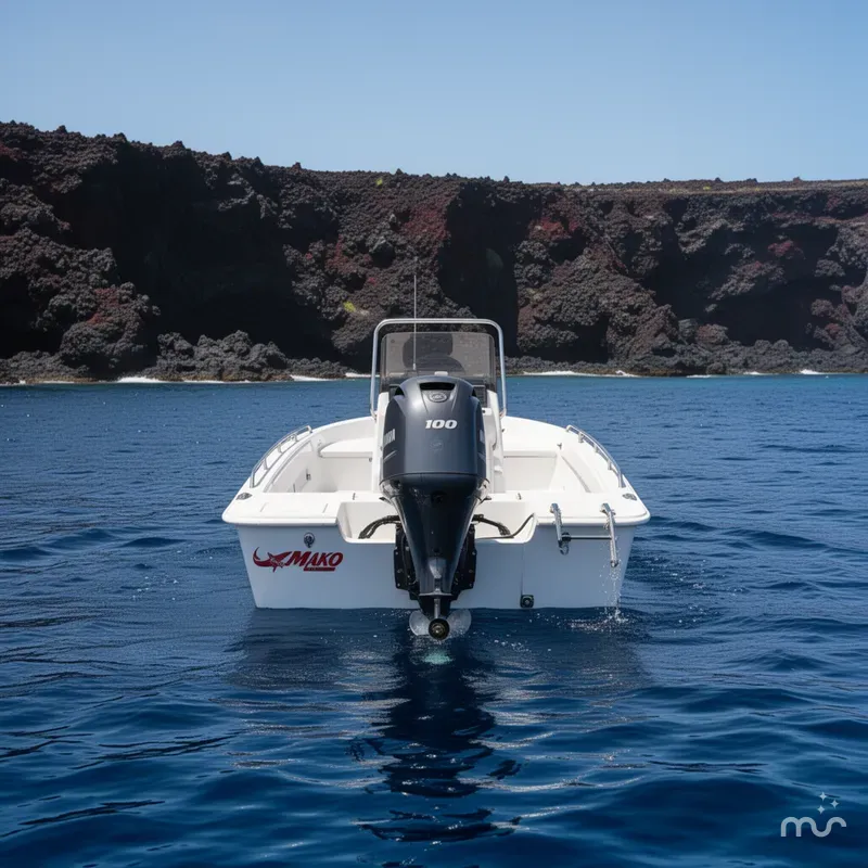Slide: The Image of Mako 18 Pro Skiff Patriot Edition 2025 - 3