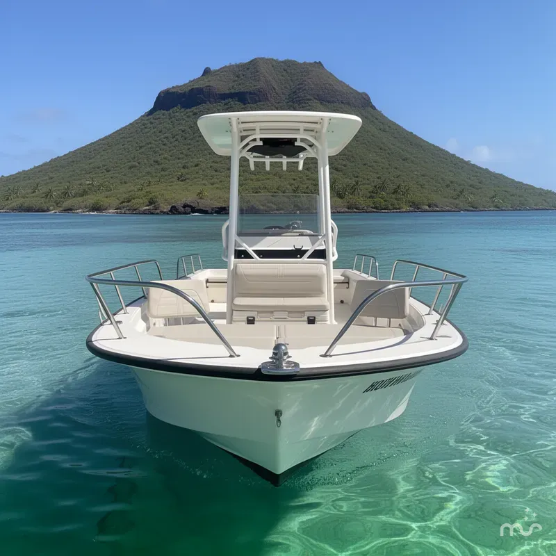 Slide: The Image of Boston Whaler 210 Montauk 2021 - 1