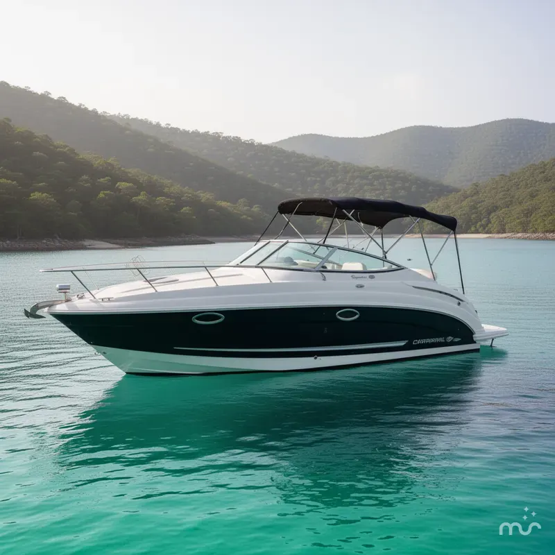 The Image of Chaparral Signature 270 2008 - 0