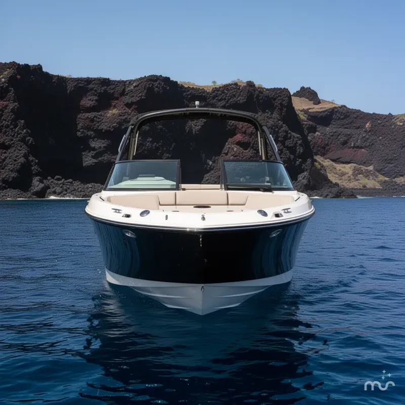 Slide: The Image of Sea Ray SDX 270 2025 - 1