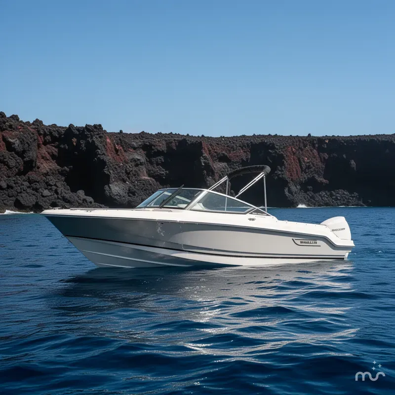 Slide: The Image of Boston Whaler 210 Vantage 2026 - 2