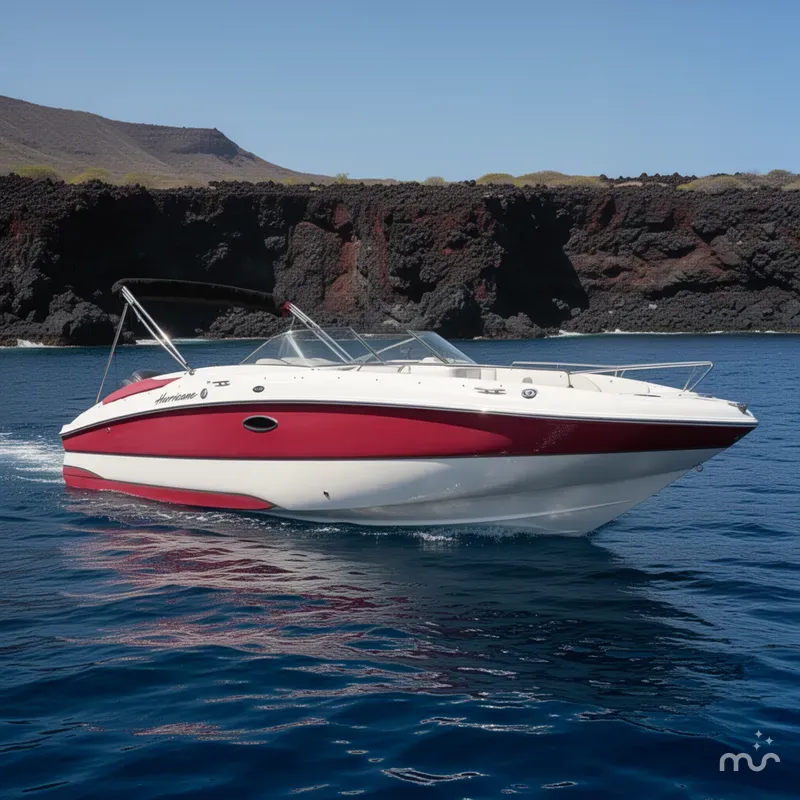 The Image of Hurricane FunDeck GS 220 OB 2009 - 0