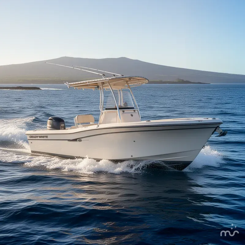 Slide: The Image of Grady-White Fisherman 209 2013 - 4