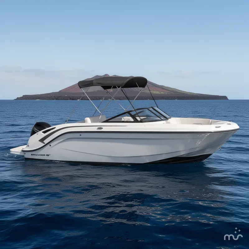 Slide: The Image of Bayliner DX 2200 2021 - 2