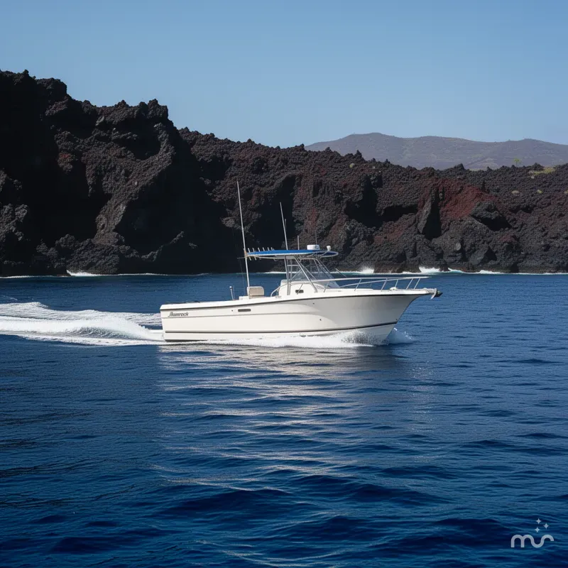 Slide: The Image of Shamrock 270 Open 2001 - 4