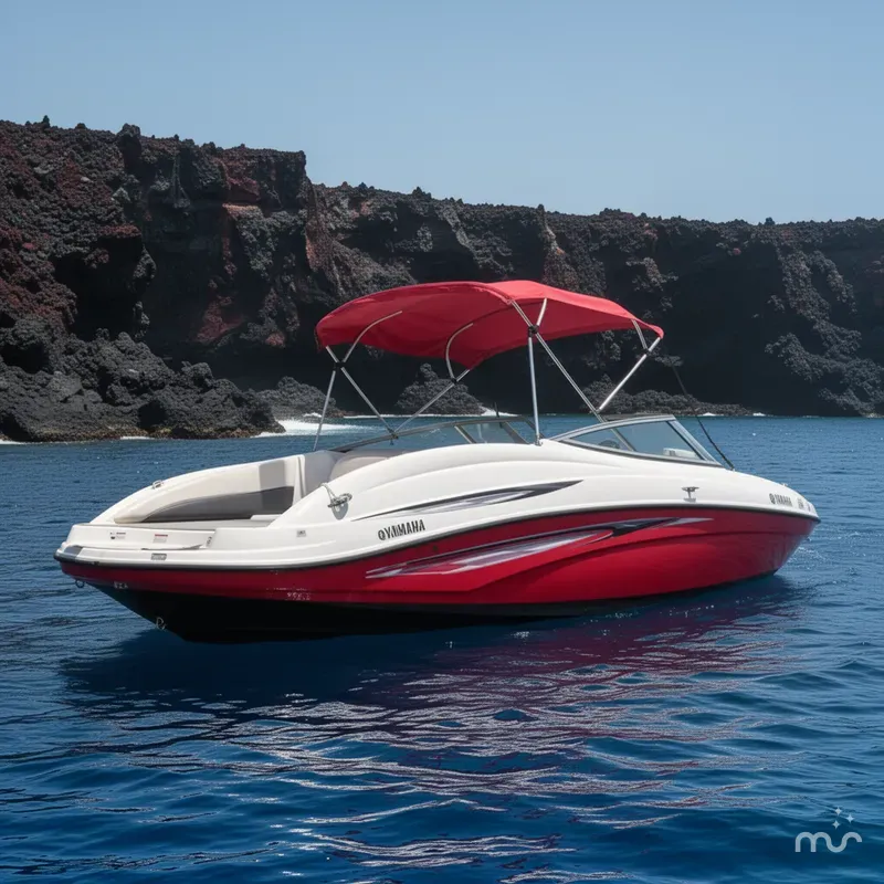 Slide: The Image of Yamaha SX210 2007 - 2