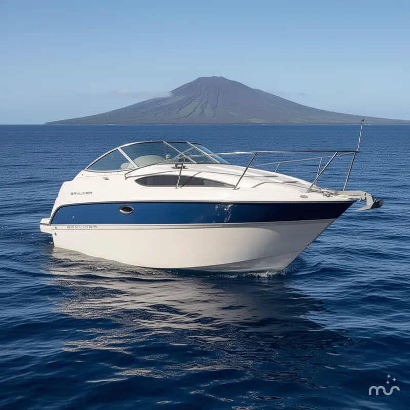 The Image of Bayliner 245 2004 - 0