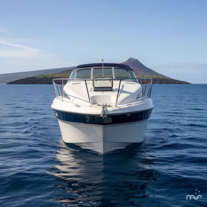 Slide: The Image of Bayliner 245 2004 - 1