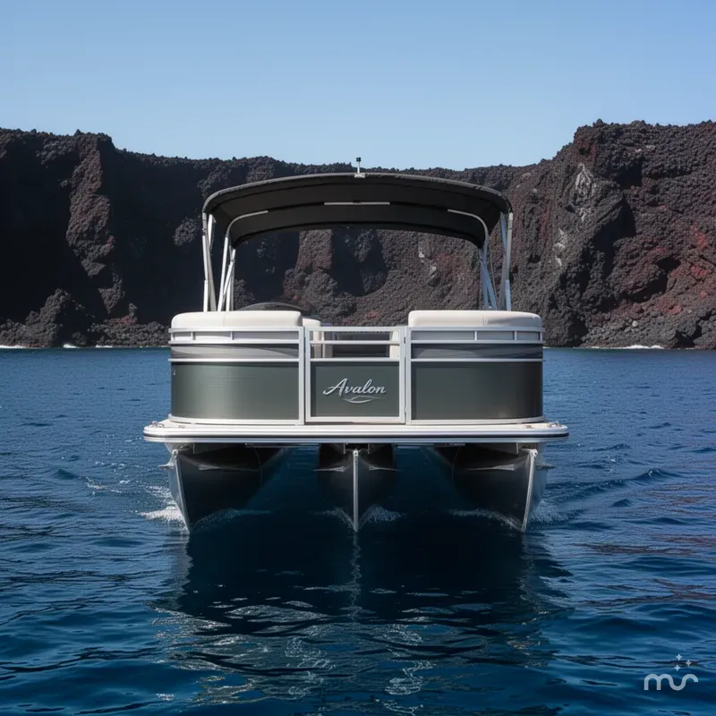 Slide: The Image of Avalon Platinum LSZ 2385 Elite 2024 - 1