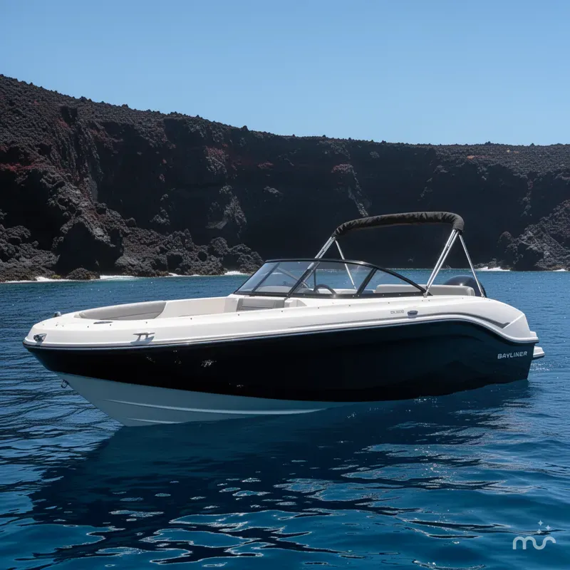 Slide: The Image of Bayliner DX 2000 2024 - 2