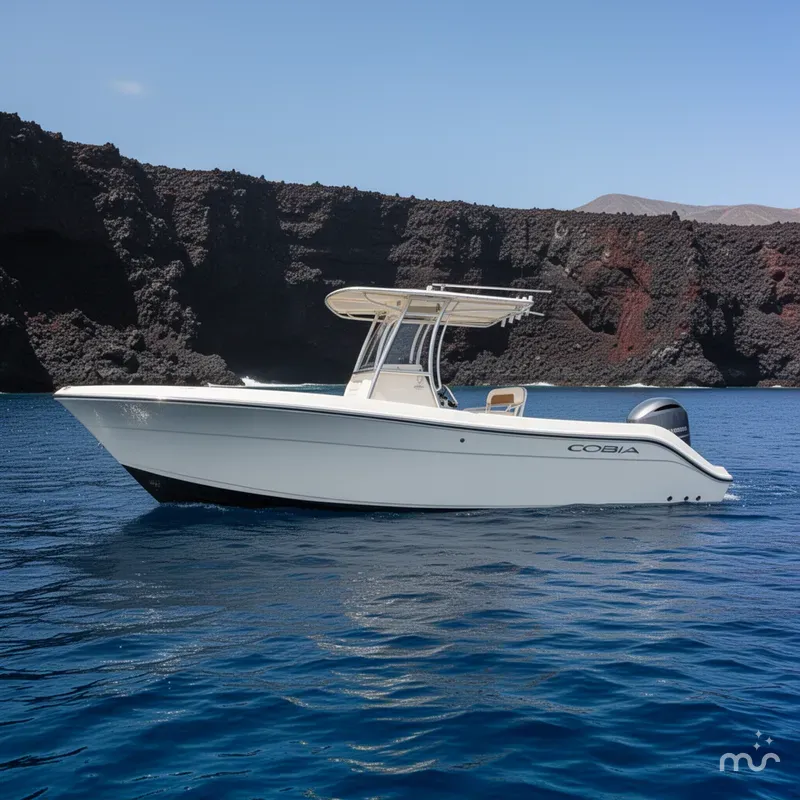Slide: The Image of Cobia 237 Center Console 2022 - 2