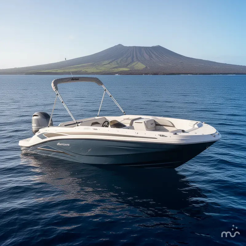The Image of Hurricane SunDeck Sport 205 OB 2026 - 0