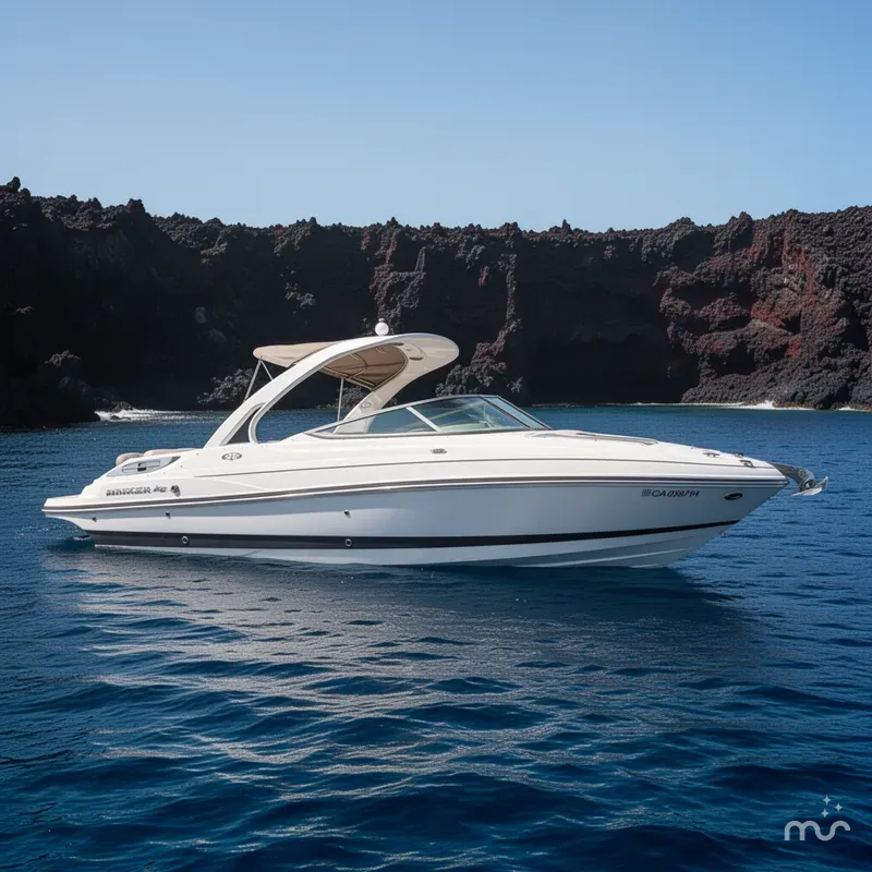 The Image of Rinker Captiva 276 2013 - 0