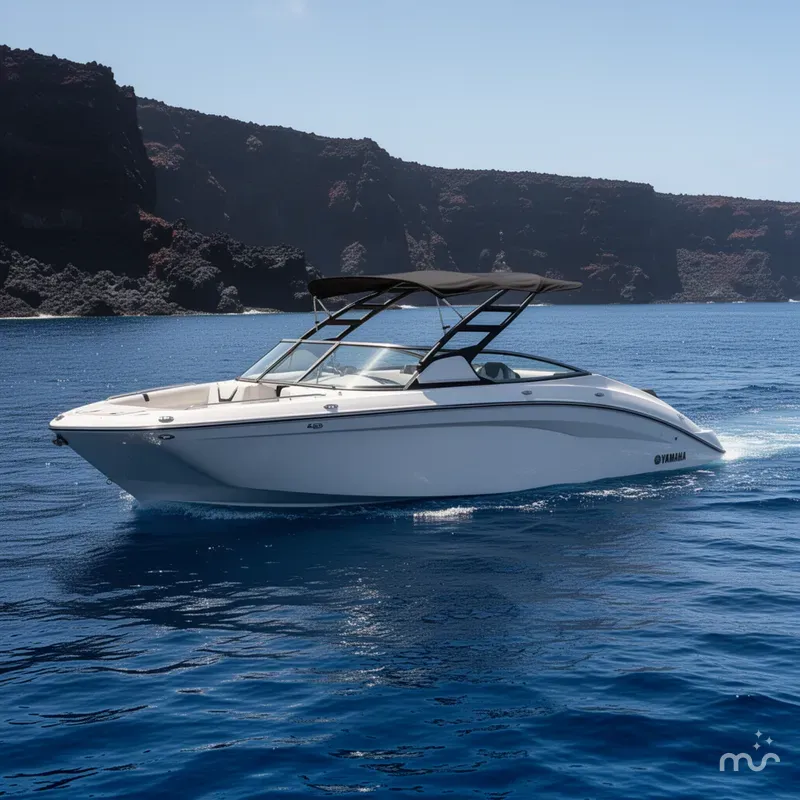 The Image of Yamaha 252S 2026 - 0