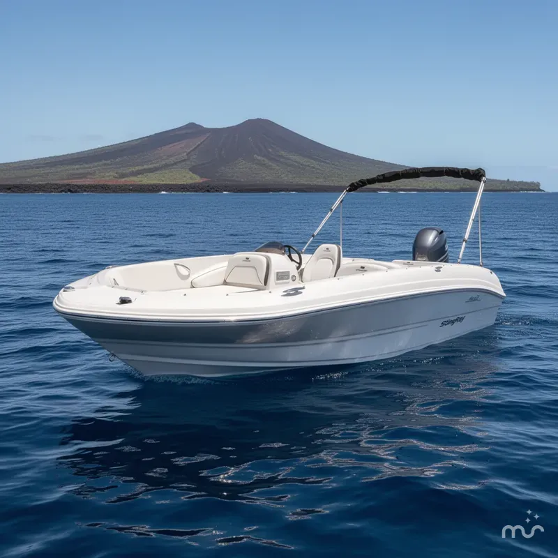 The Image of Stingray 182 SC 2026 - 0