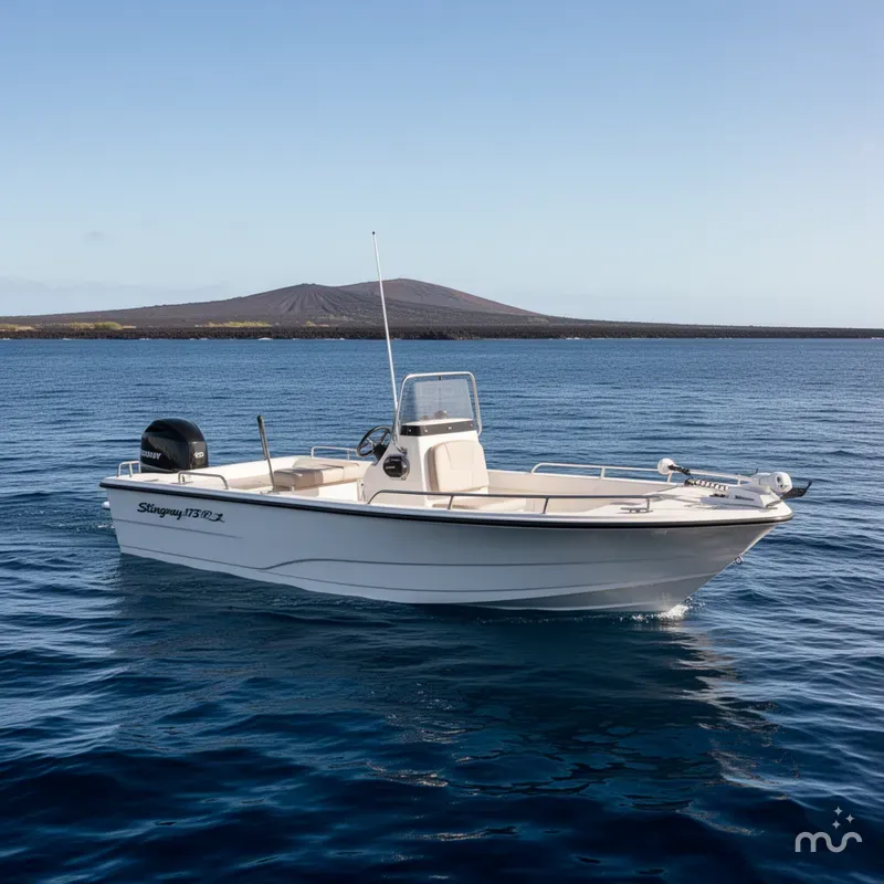 The Image of Stingray 173 CC 2022 - 0