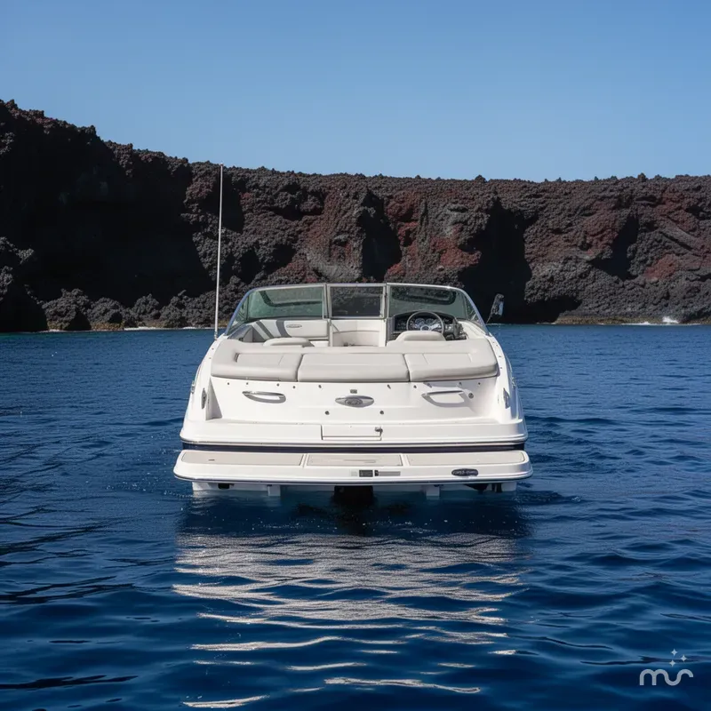 Slide: The Image of Chaparral 210 Suncoast 2019 - 3