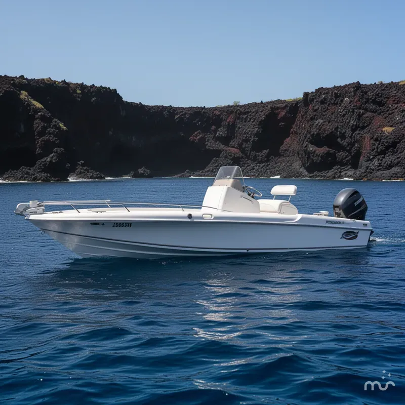 Slide: The Image of Famous Craft 2100 CC 2010 - 2