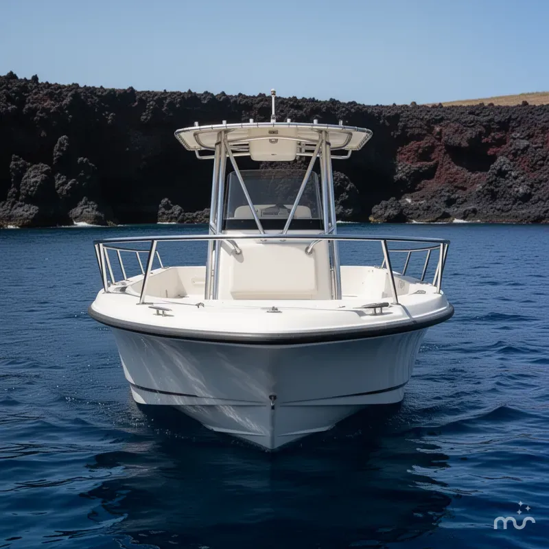 Slide: The Image of Boston Whaler 21 Outrage 2002 - 1