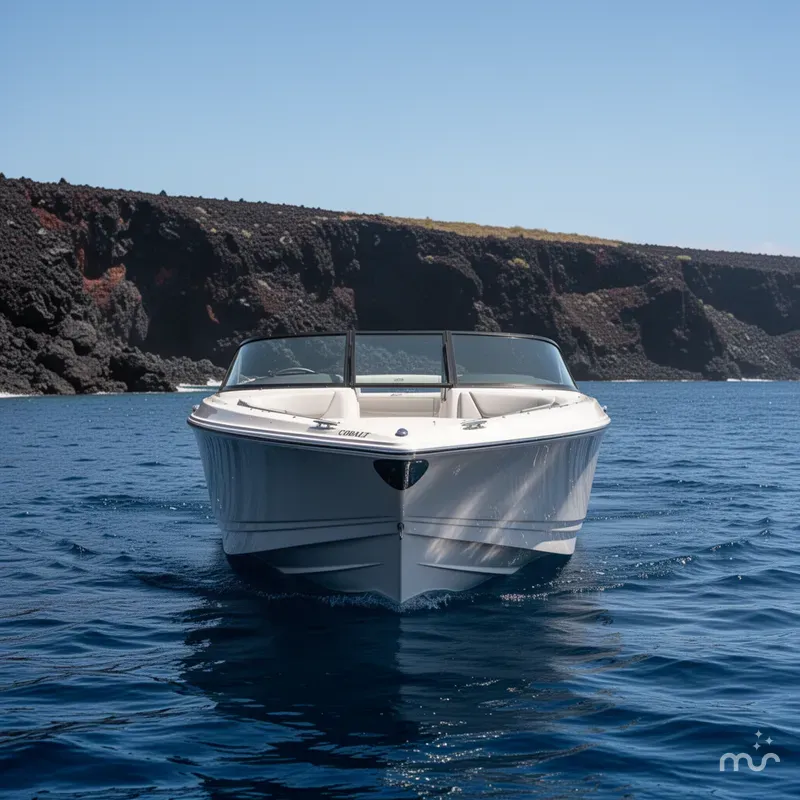 Slide: The Image of Cobalt CS23 2026 - 1