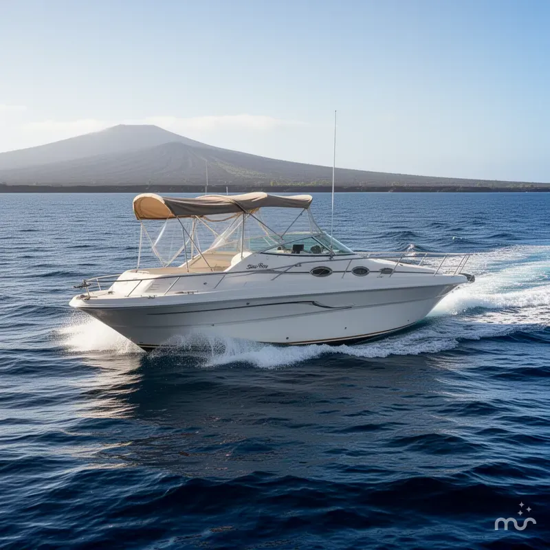 Slide: The Image of Sea Ray 270 Sundancer 2000 - 2