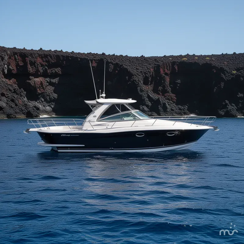 Slide: The Image of Monterey 295 Sport Yacht 2021 - 2