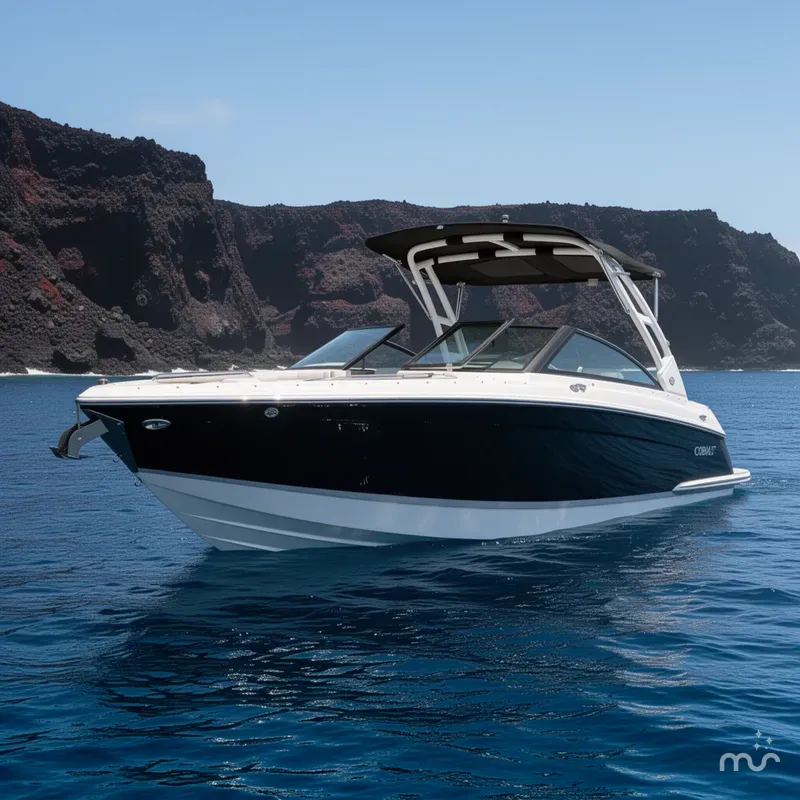The Image of Cobalt R6 2026 - 0