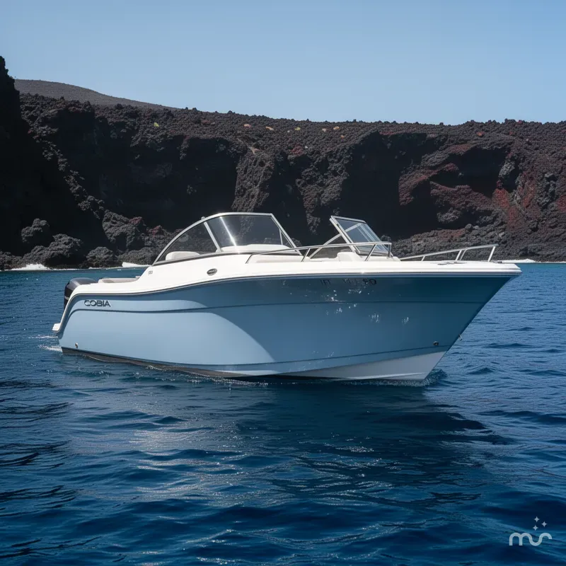 Slide: The Image of Cobia 220 Dual Console 2020 - 2