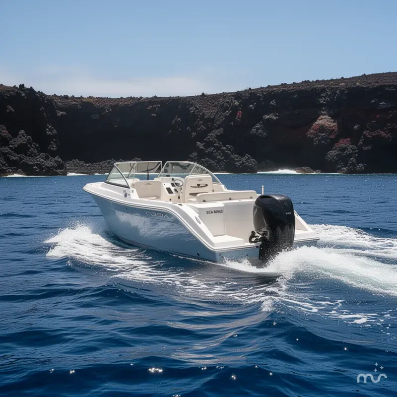 Slide: The Image of Cobia 220 Dual Console 2020 - 4