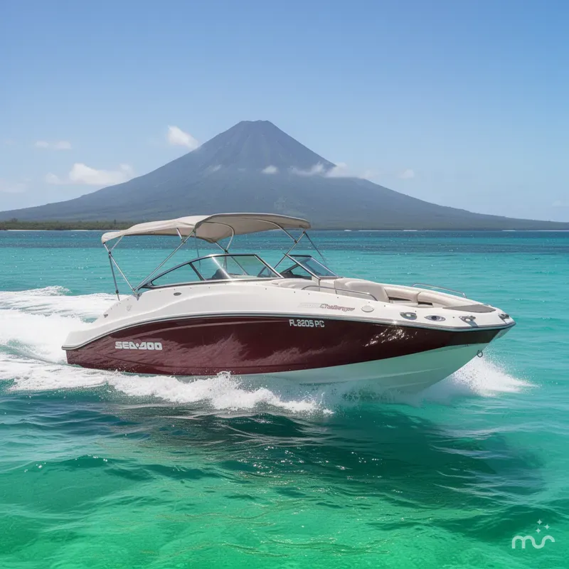 The Image of Sea-Doo 230 Challenger SP 2010 - 0